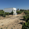 Finca segregada  de 5.500 m2 con viñedo en producción zona Venta Tocino 